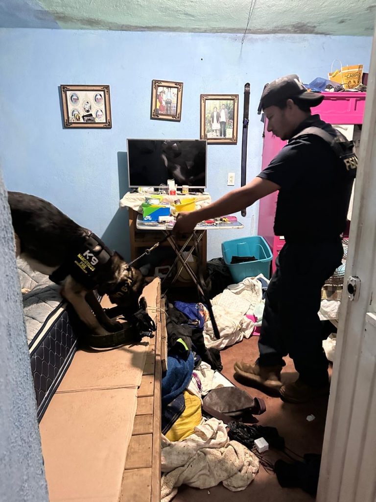 Fiscalía General asegura narcótico y un vehículo con alteraciones, en un cateo realizado en el municipio de Pátzcuaro 2 3f4d4086 0334 4d11 b133 2cc0827e3615