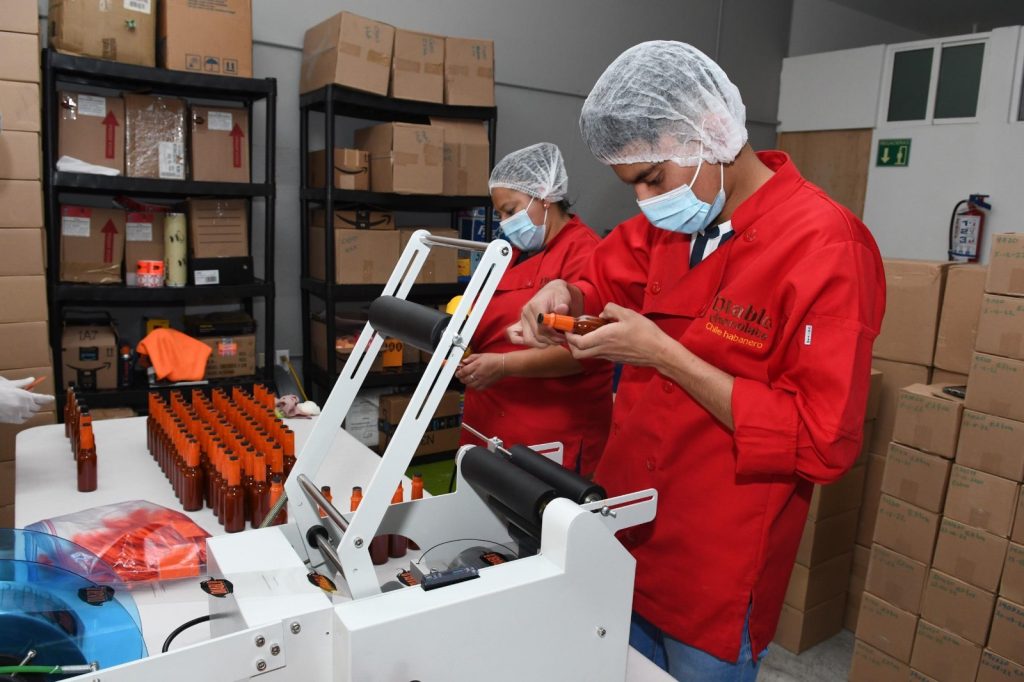 Repunta empleo formal en Michoacán; suma 2 meses de crecimiento 1 7bf47d78 d466 48ae b6d5 4e6cc3065f14