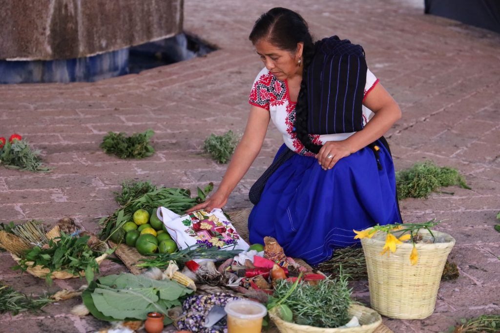 Michoacán reúne a médicos tradicionales en encuentro nacional 3 Imagen de WhatsApp 2024 10 21 a las 13.58.46 84b786cb