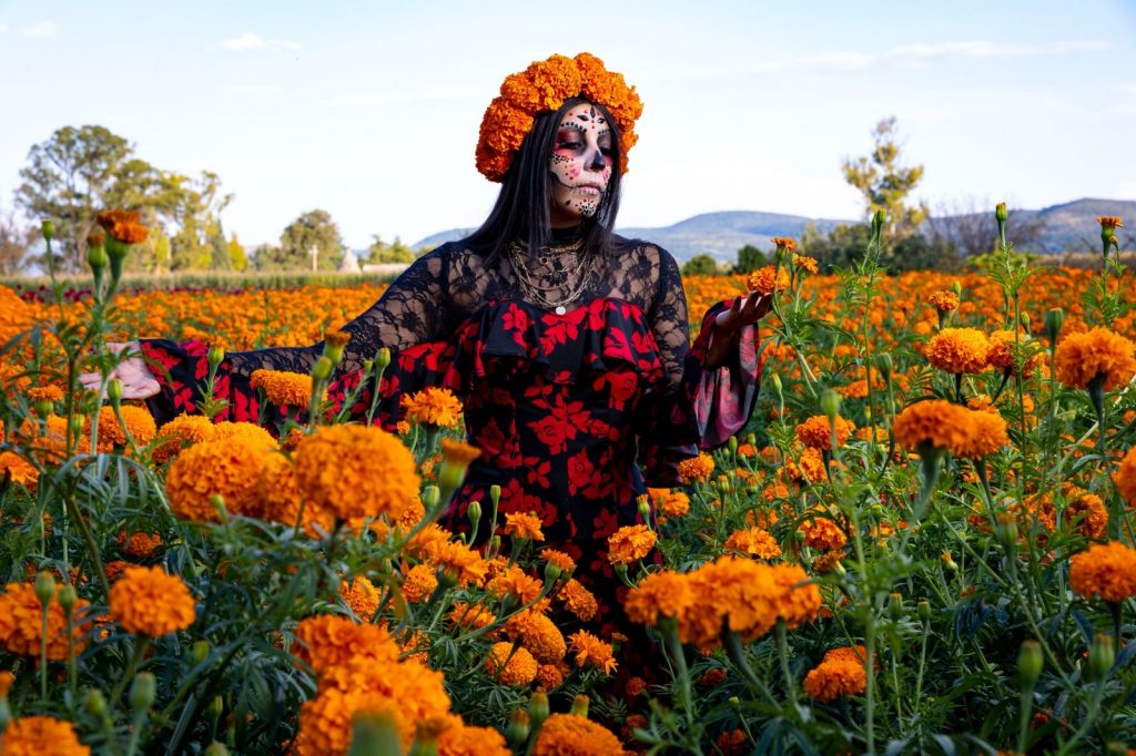 Vive la experiencia de recorrer los campos de cempasúchil en Copándaro 1 cf0bdfc3 bcc6 4a56 b328 598dd2810052