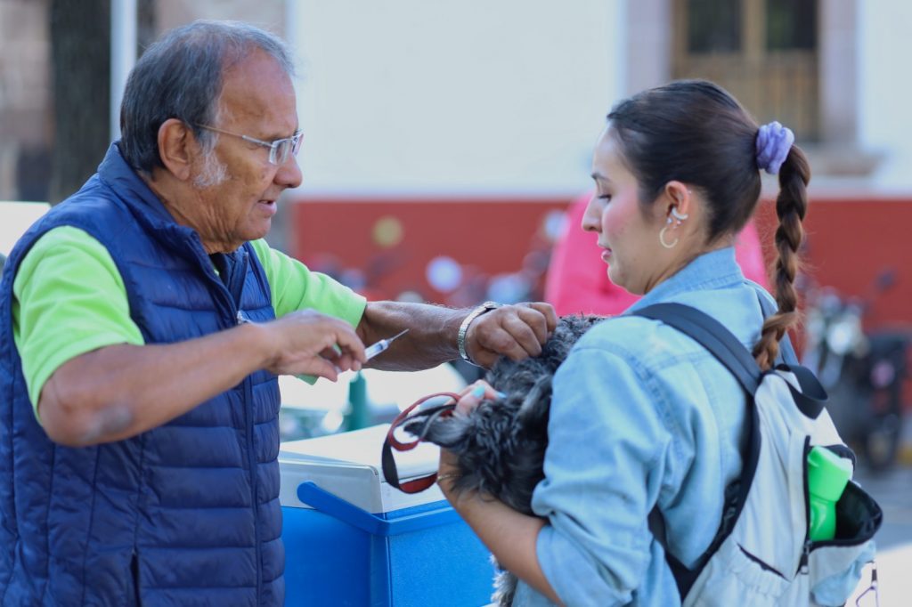 SSM aplica vacunas antirrábicas gratuitas en el Centro de Morelia 1 dece1dae a4b9 4c78 830f 4b6f1ce1a03f