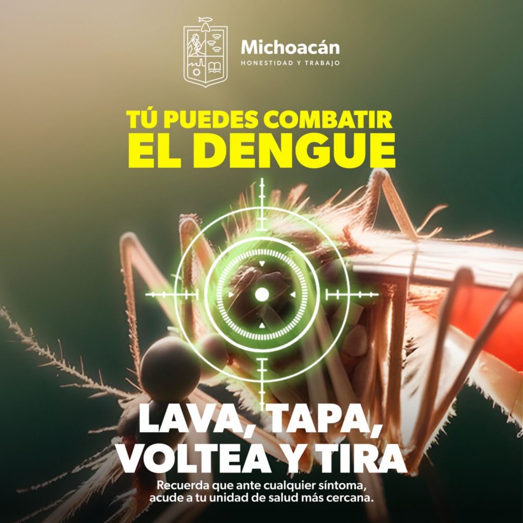 Así puedes prevenir el dengue en tu hogar; la SSM te dice cómo 1 0b14dd3a 7690 4287 9c0a 0eb7a982443d