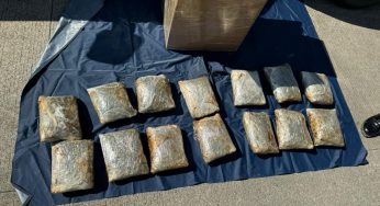 SSP y Guardia Nacional decomisan más de 10 kg de mariguana en Uruapan