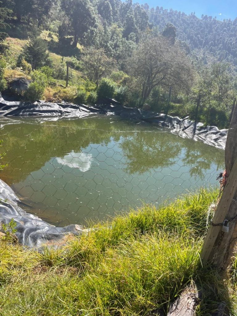 Cumplimenta FGE orden de cateo en predio relacionado en delitos contra el ambiente; se detectó plantación de aguacate 2 03177fd6 d27f 4c55 b15a 3908bf785fc6
