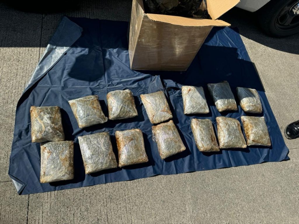En noviembre se decomisaron más de 160 kg de droga: SSP 1 72f6cd0e 89ec 4e38 9524 e6db9a7bce27