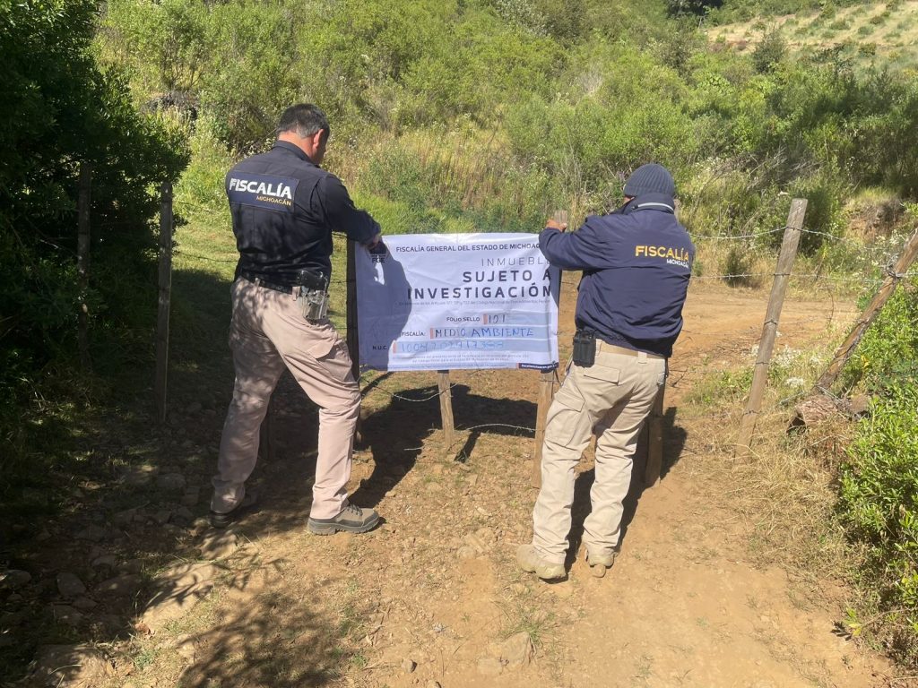 Cumplimenta FGE orden de cateo en predio relacionado en delitos contra el ambiente; se detectó plantación de aguacate 1 a2635ae4 0ea8 4c0e bcdf d279d2574c2c