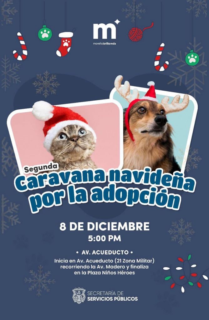 Una caravana de cuatro patas recorrerá las calles de Morelia 1 cb3d9009 38e8 4cf6 99ab 60c0f8738042