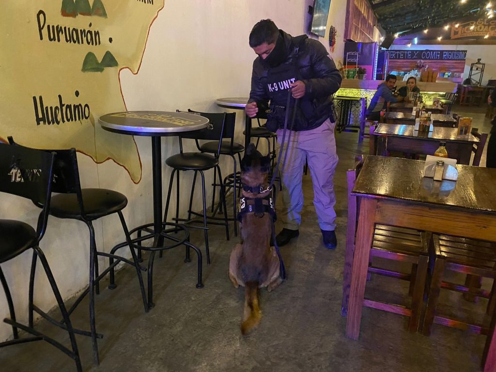 Realiza FGE cateo en bar de Morelia y asegura 150 dosis de narcótico 1 d2a45e79 08a9 4171 a0be 215ab98d27fd