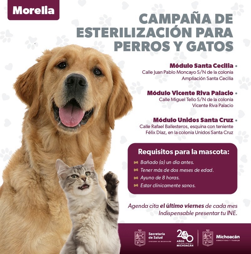 Morelia y Zamora con más esterilizaciones de mascotas: SSM 1 ddc21b22 f912 4692 a1d4 b36e999de182 1