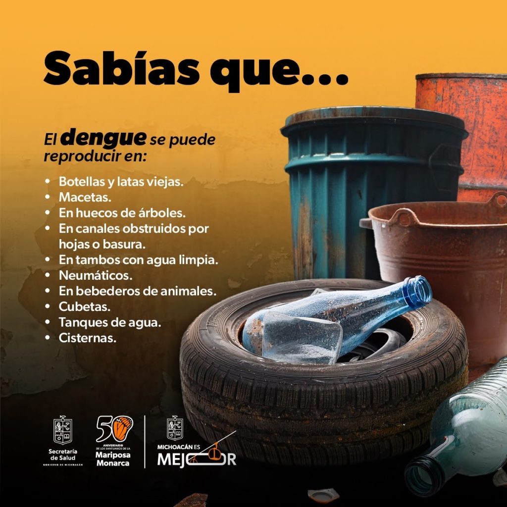 Mantén tu casa libre de dengue con estas recomendaciones de la SSM 1 118af559 6387 44c0 bbc8 2c9ce347bb46