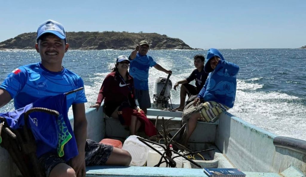 Ballenas cautivan durante su paso por las playas michoacanas 2 90dd3059 d40e 4456 b82e 98f362bbb023