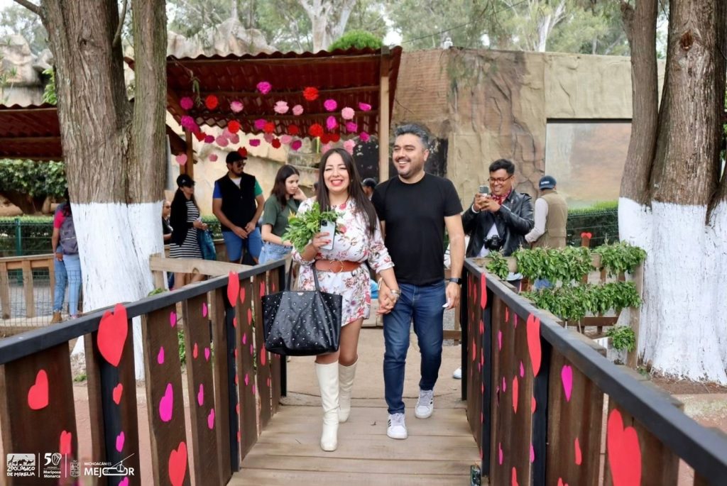 El amor se vive en el ZooMorelia; cásate el 14 de febrero en el parque 3 952c2bda 9955 40f3 860f 6267cb0a54d9