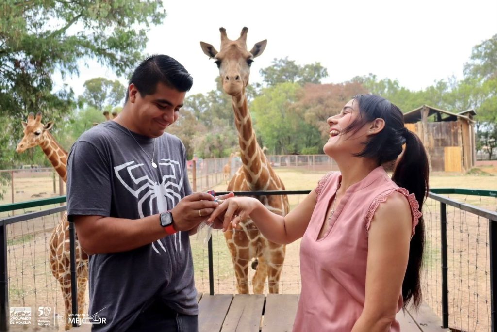 El amor se vive en el ZooMorelia; cásate el 14 de febrero en el parque 2 bc424f01 fee7 4580 a8a2 528c1b695340