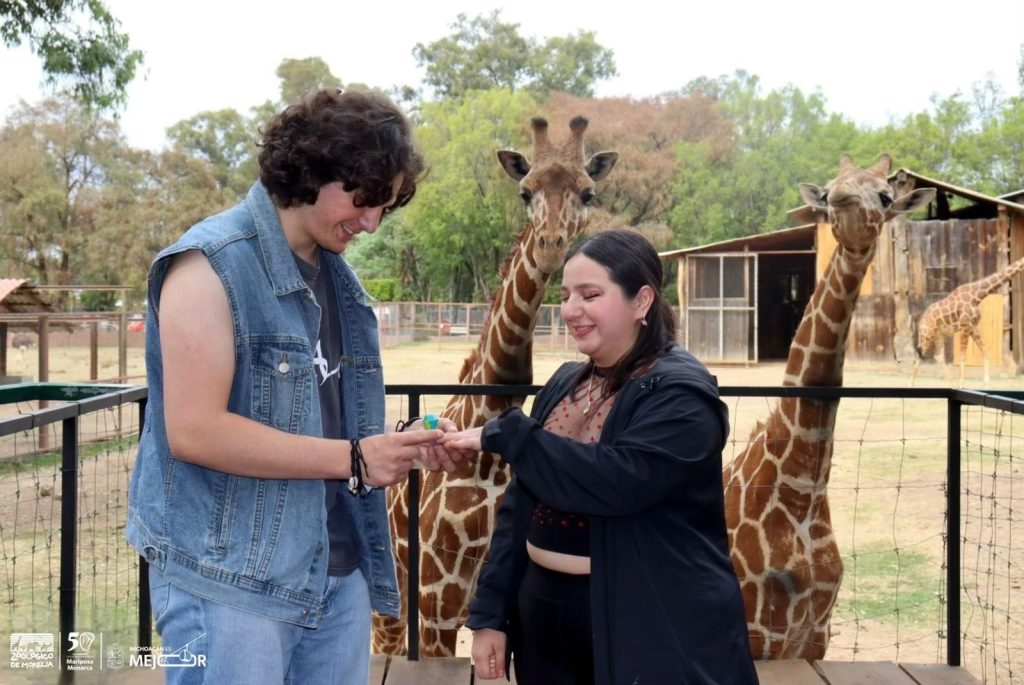 El amor se vive en el ZooMorelia; cásate el 14 de febrero en el parque 1 f7b8d7ef c752 4b04 bfc6 0ce700bfa950