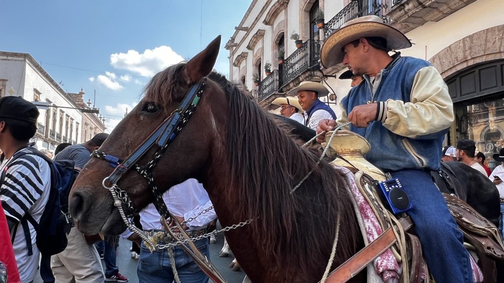 Se manifestaron gallero y taurinas en Morelia pafa exigir libertad en sus tradiciones 3 IMG 4070
