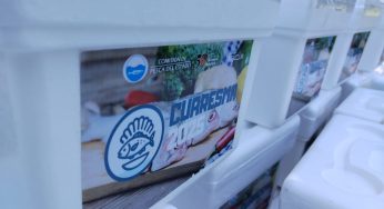 Habrá 125 puntos de venta de Pescado y Marisco en todo el estado en cuaresma: Compesca