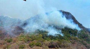 Brigadas continúan combatiendo incendio en Nocupétaro: Cofom