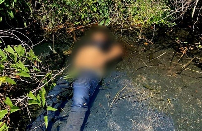 Confirmados 5 integrantes del CJNG abatidos tras enfrentamiento, en Tierra Caliente 2 f74c785b a181 4e7d a5d8 1b32542afb52