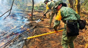 Ejército Mexicano aplica Plan DN-III-E en Incendio Forestal en el Municipio de Zacapu.