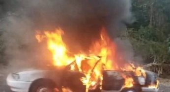 Se enfrentan CJNG y FM al oriente de Michoacán; incendian 6 vehículos
