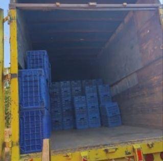 SSP y Defensa detienen a 14 presuntos implicados en robo de 160 cajas de aguacate 1 9752b01d 95d8 43da aedf 0cae0572dbfb