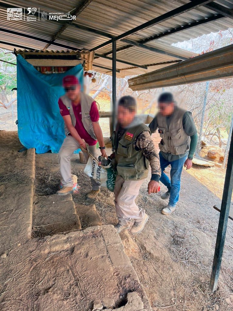 Venados decomisados se entregaron de manera voluntaria; Asegura Zoo de Morelia tras polémica 1 e71e2e0e 9bce 40b4 9585 77e3c2cb02d6