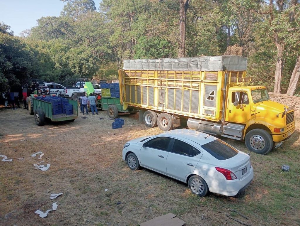 SSP y Defensa detienen a 14 presuntos implicados en robo de 160 cajas de aguacate 2 ee338355 e966 44be b5bb c048d7093ccb
